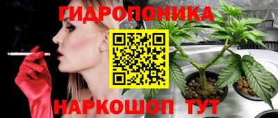 дмт Можга