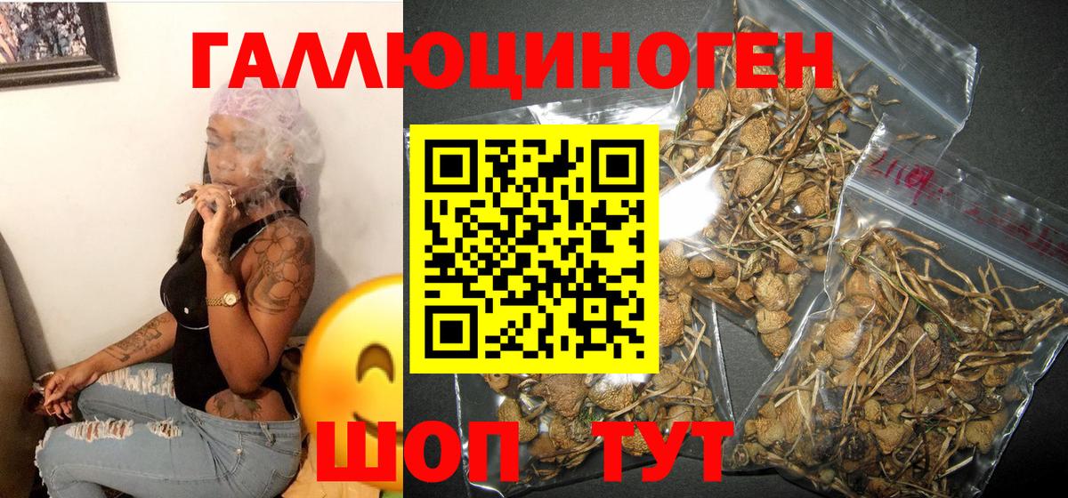 Сыктывкар  Псилоцибиновые грибы GOLDEN TEACHER  Вход с VPN 